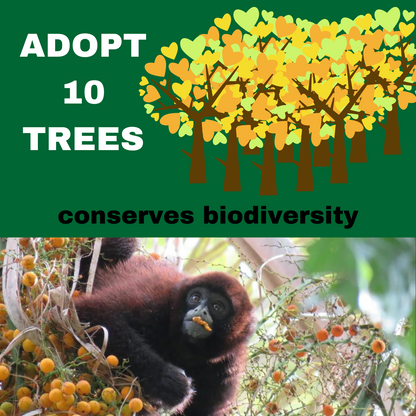 ADOPT 10 TREES