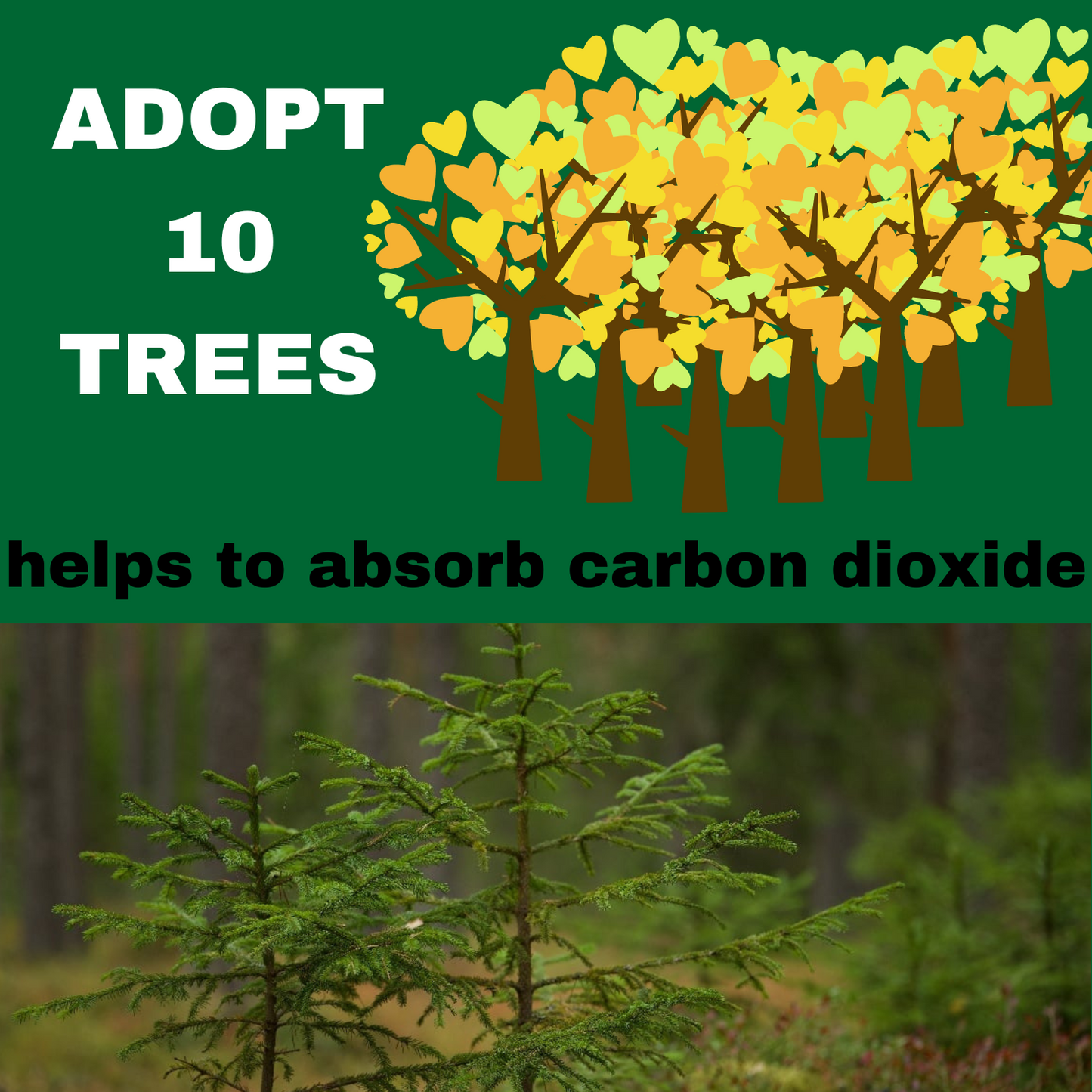 ADOPT 10 TREES