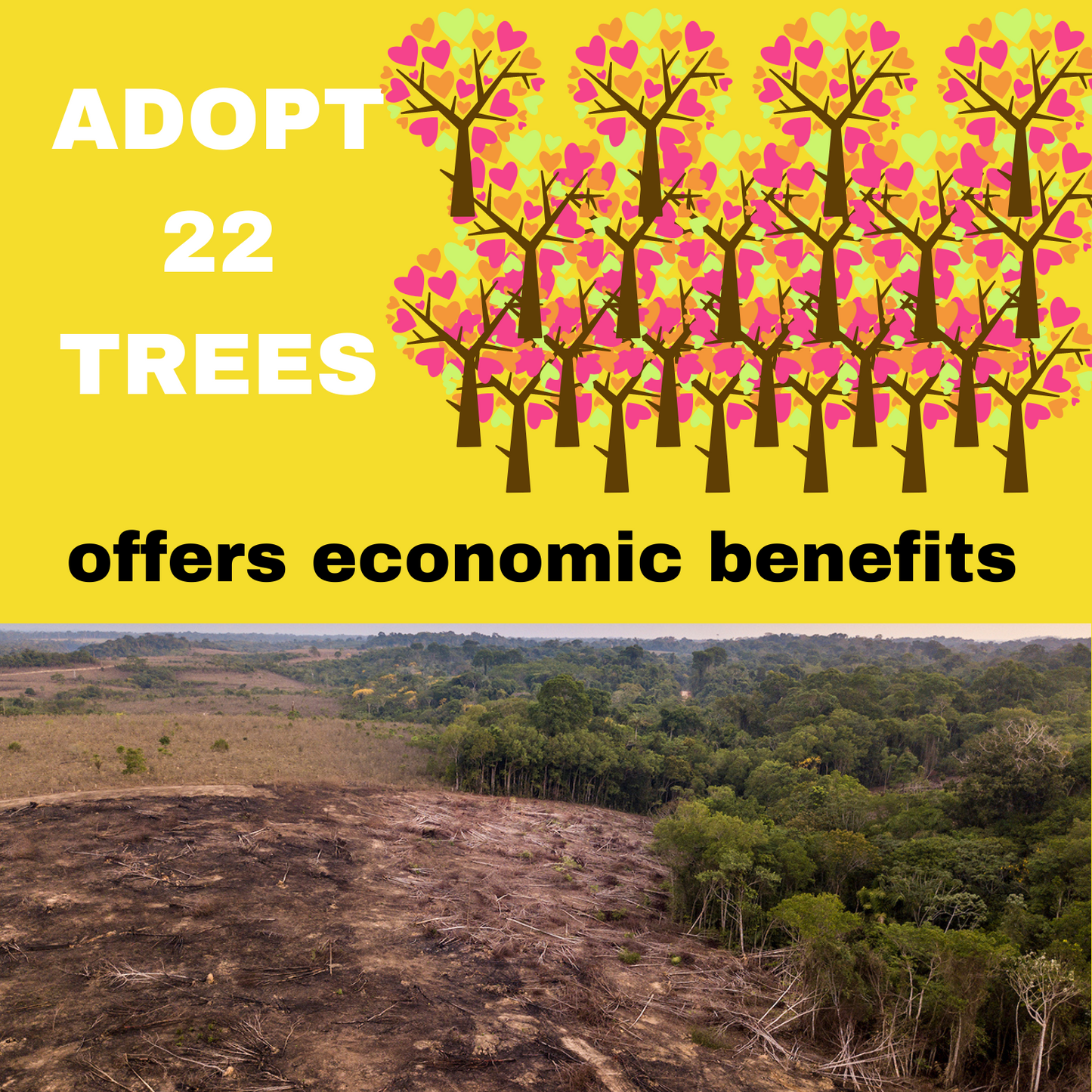 ADOPT 22 TREES