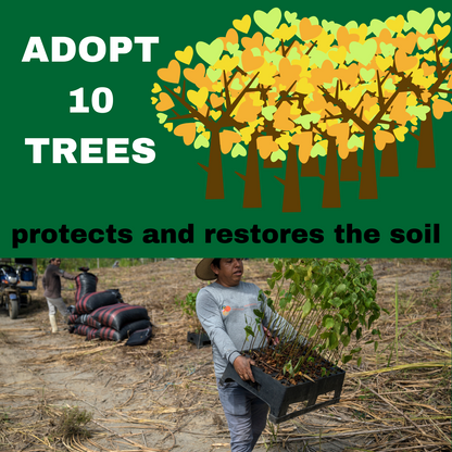 ADOPT 10 TREES