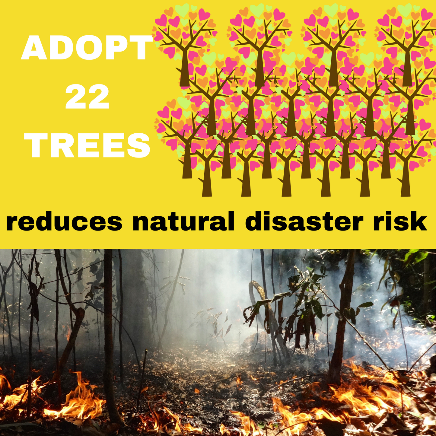 ADOPT 22 TREES