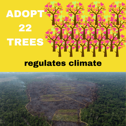 ADOPT 22 TREES