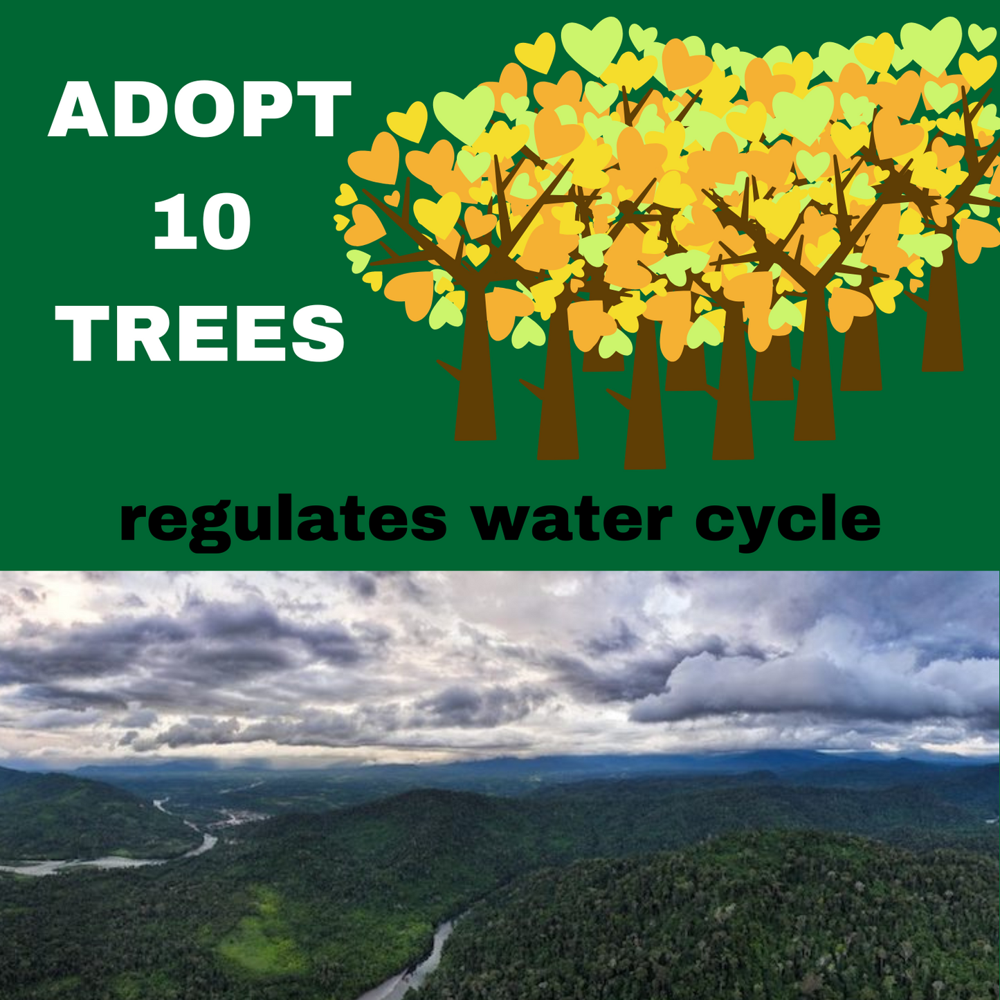 ADOPT 10 TREES