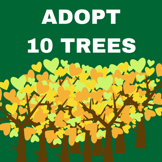 ADOPT 10 TREES