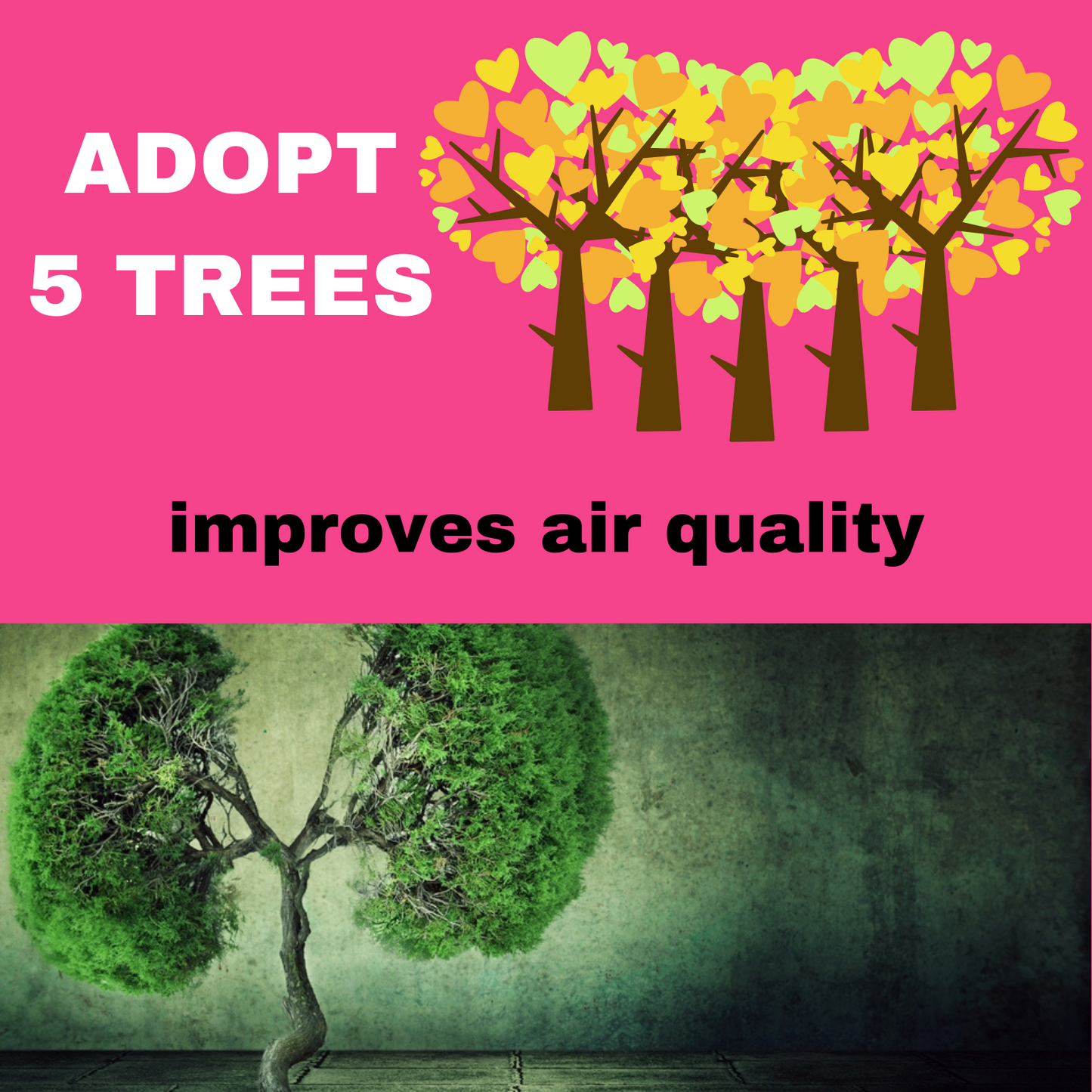 ADOPT 5 TREES