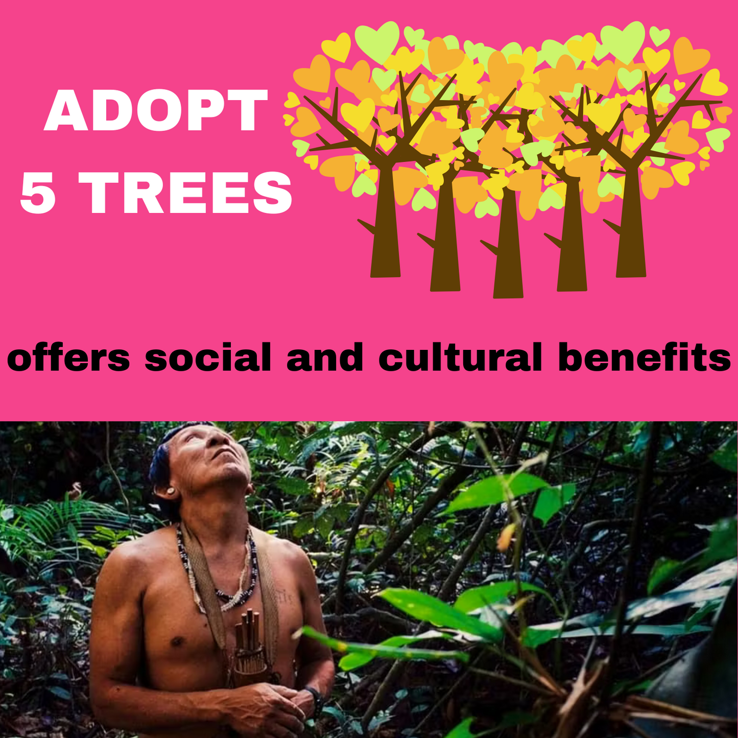 ADOPT 5 TREES