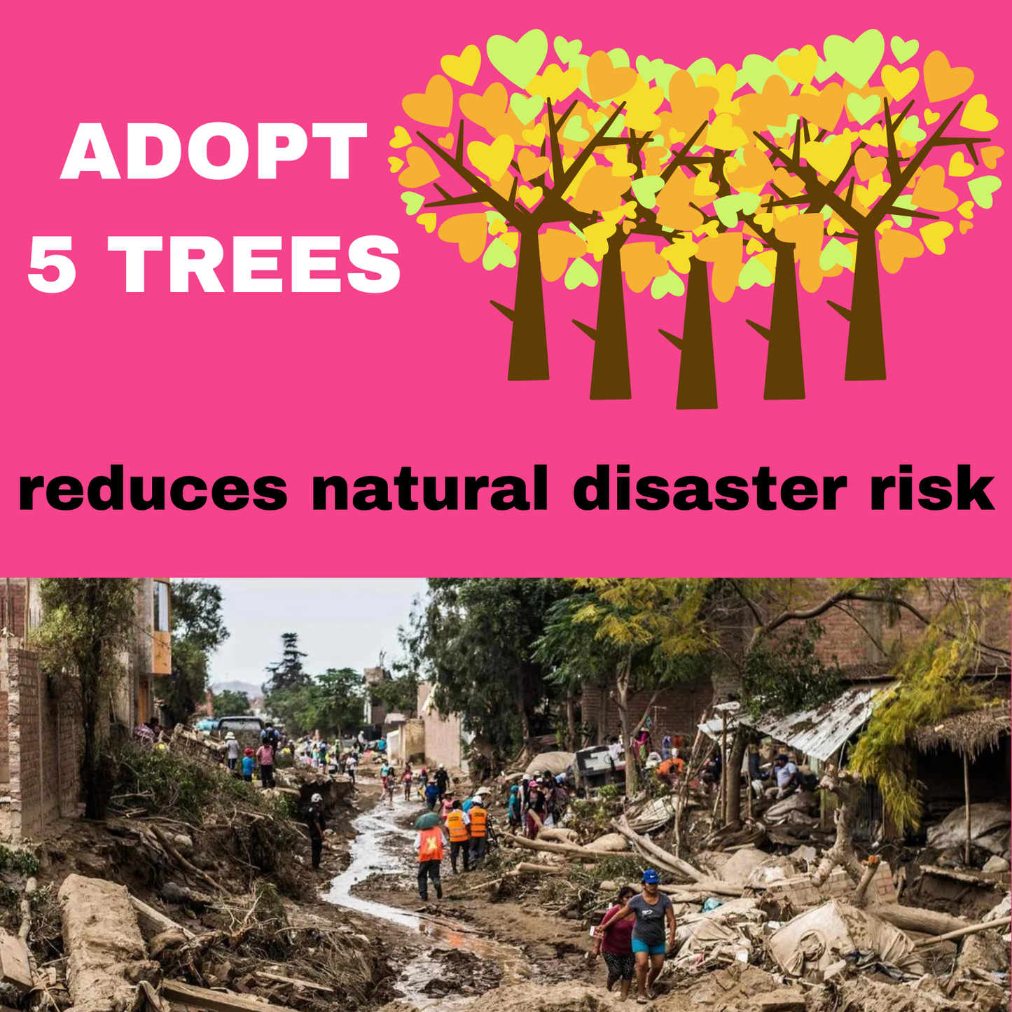 ADOPT 5 TREES