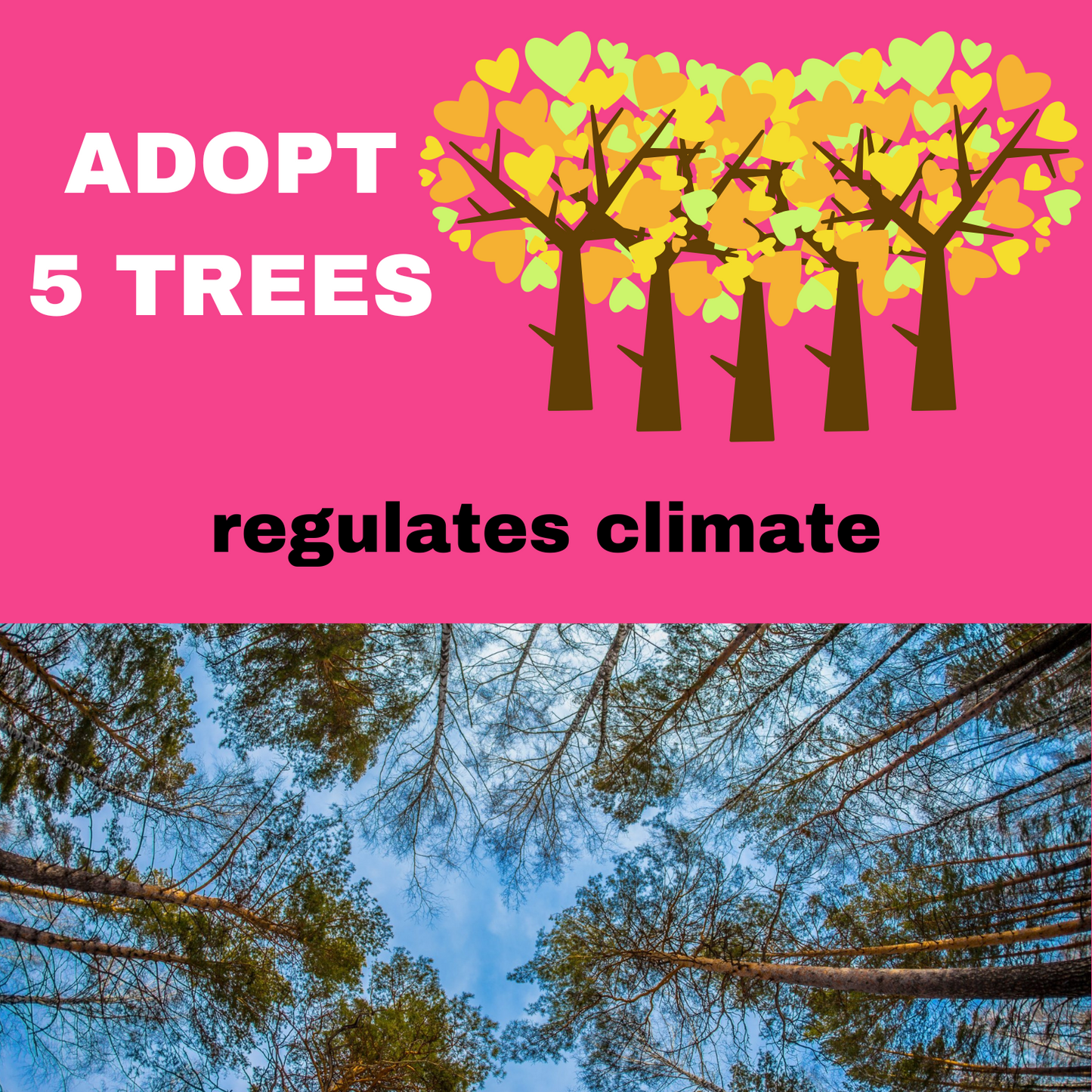 ADOPT 5 TREES