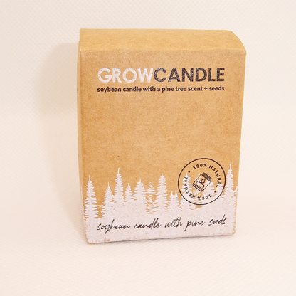 Ecological Pine Scented Candle with Pine Seed Capsule Presented in a Smooth Kraft Box